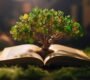 Holistic Education